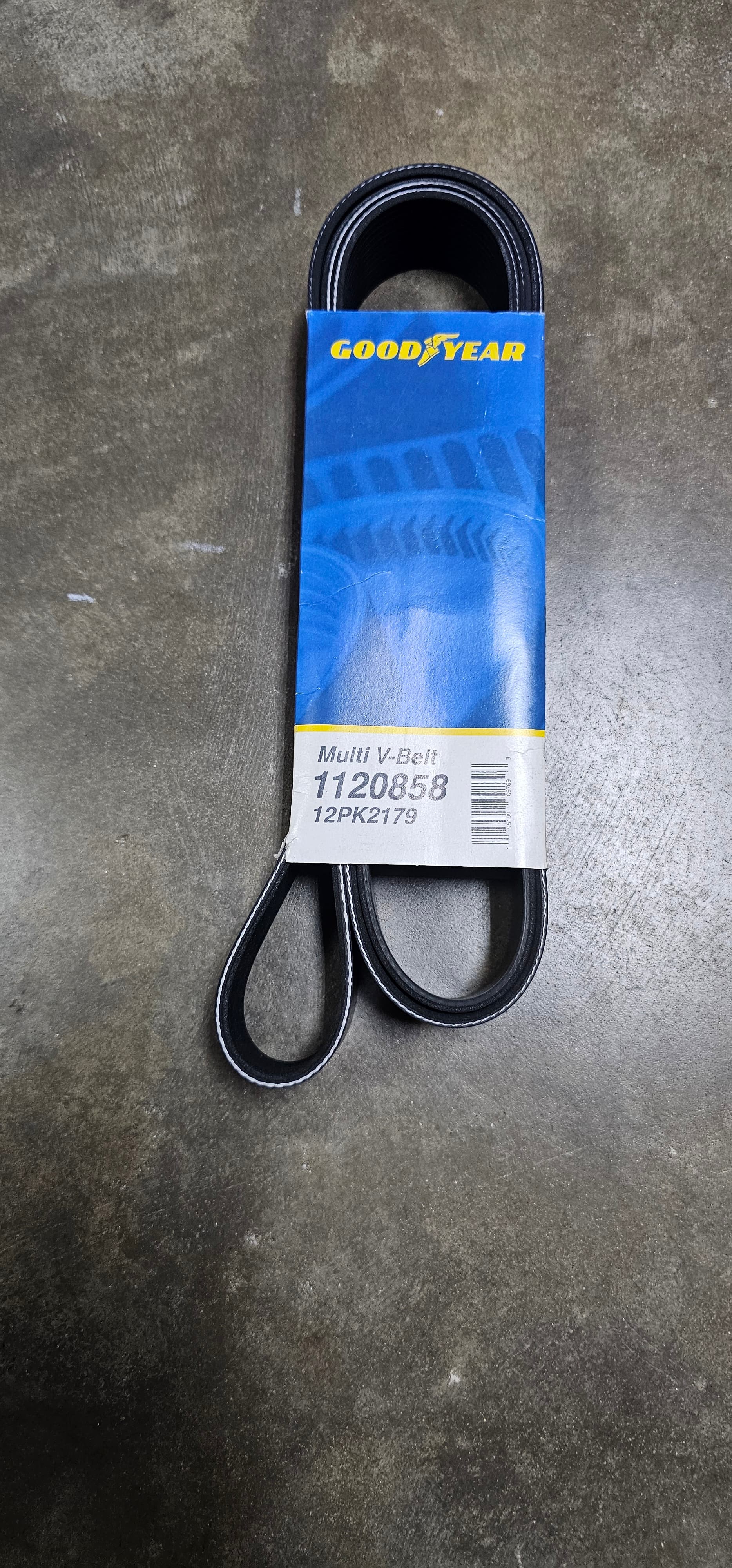 Serpentine Belt